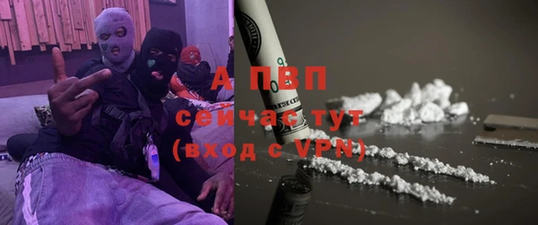 шишки Вязники
